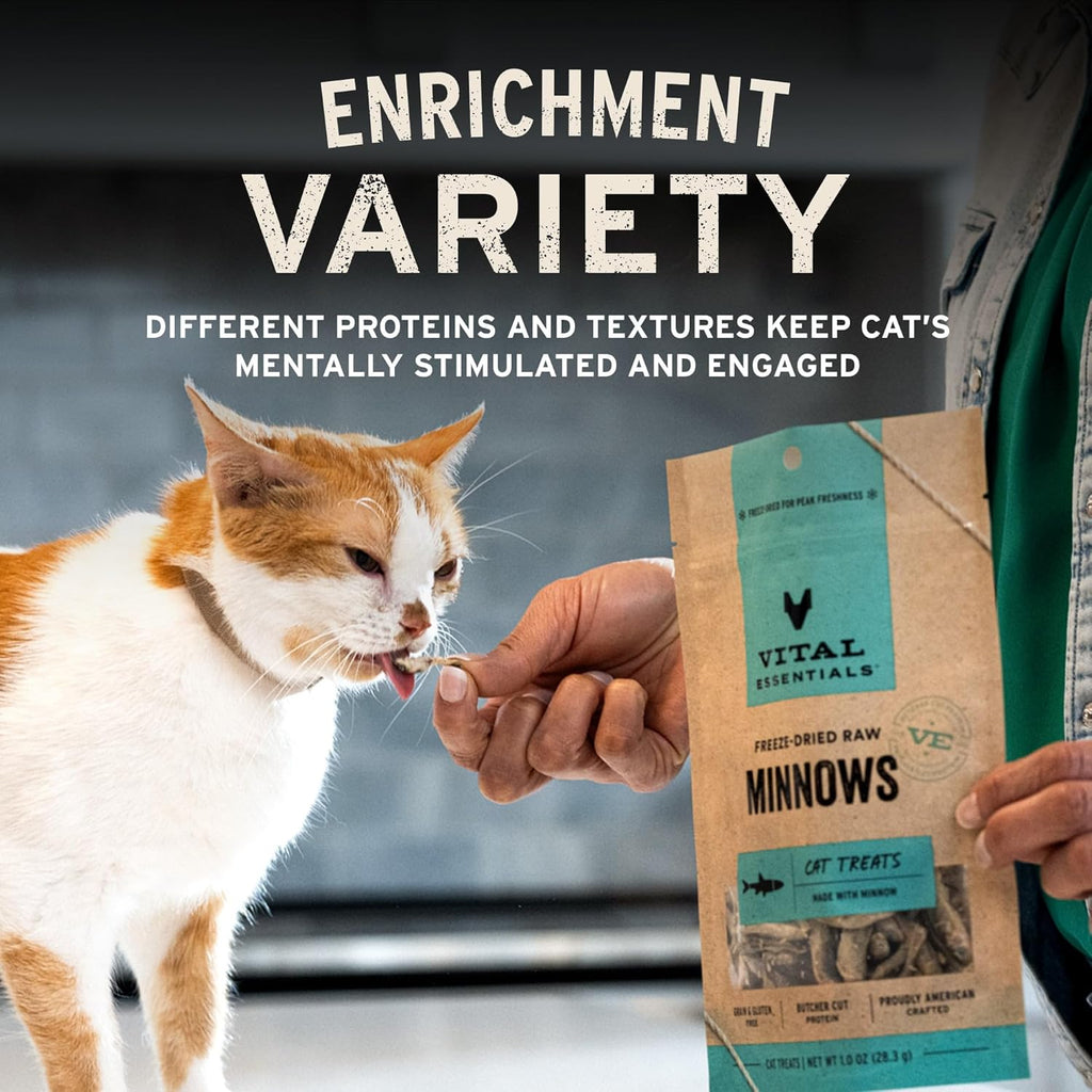 Freeze Dried Raw Chicken Hearts Cat Treats | Single Ingredient | Premium Quality | Grain Free, Healthy Treats for Cats, 0.8 Oz Bag