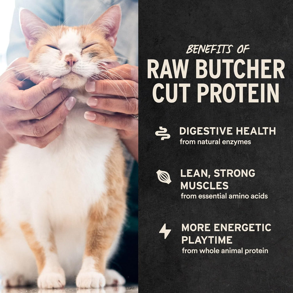 Freeze Dried Raw Chicken Hearts Cat Treats | Single Ingredient | Premium Quality | Grain Free, Healthy Treats for Cats, 0.8 Oz Bag