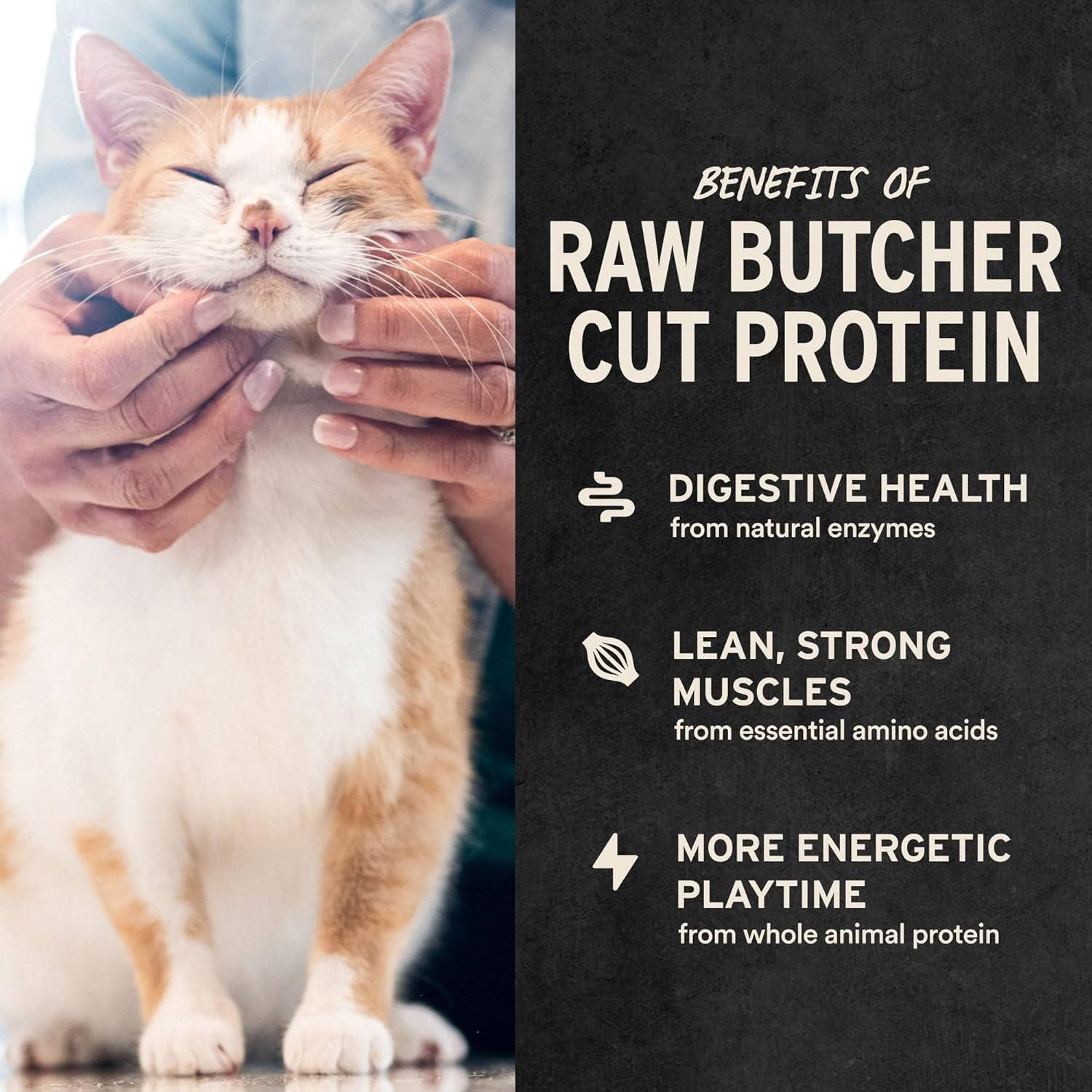 Freeze Dried Raw Chicken Hearts Cat Treats | Single Ingredient | Premium Quality | Grain Free, Healthy Treats for Cats, 0.8 Oz Bag